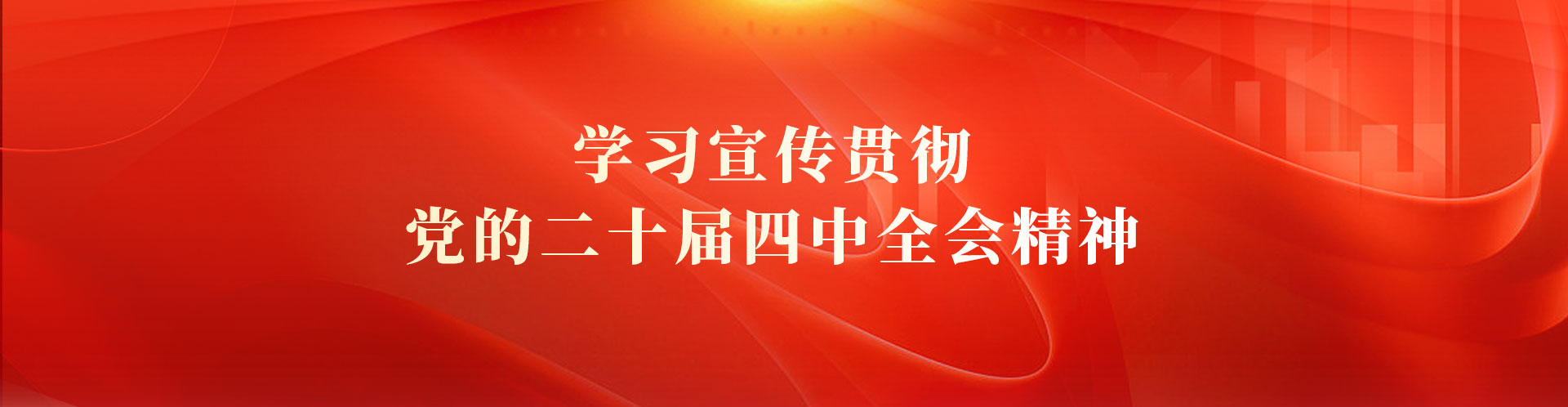 学习宣传贯彻党的二十届四中全会精神